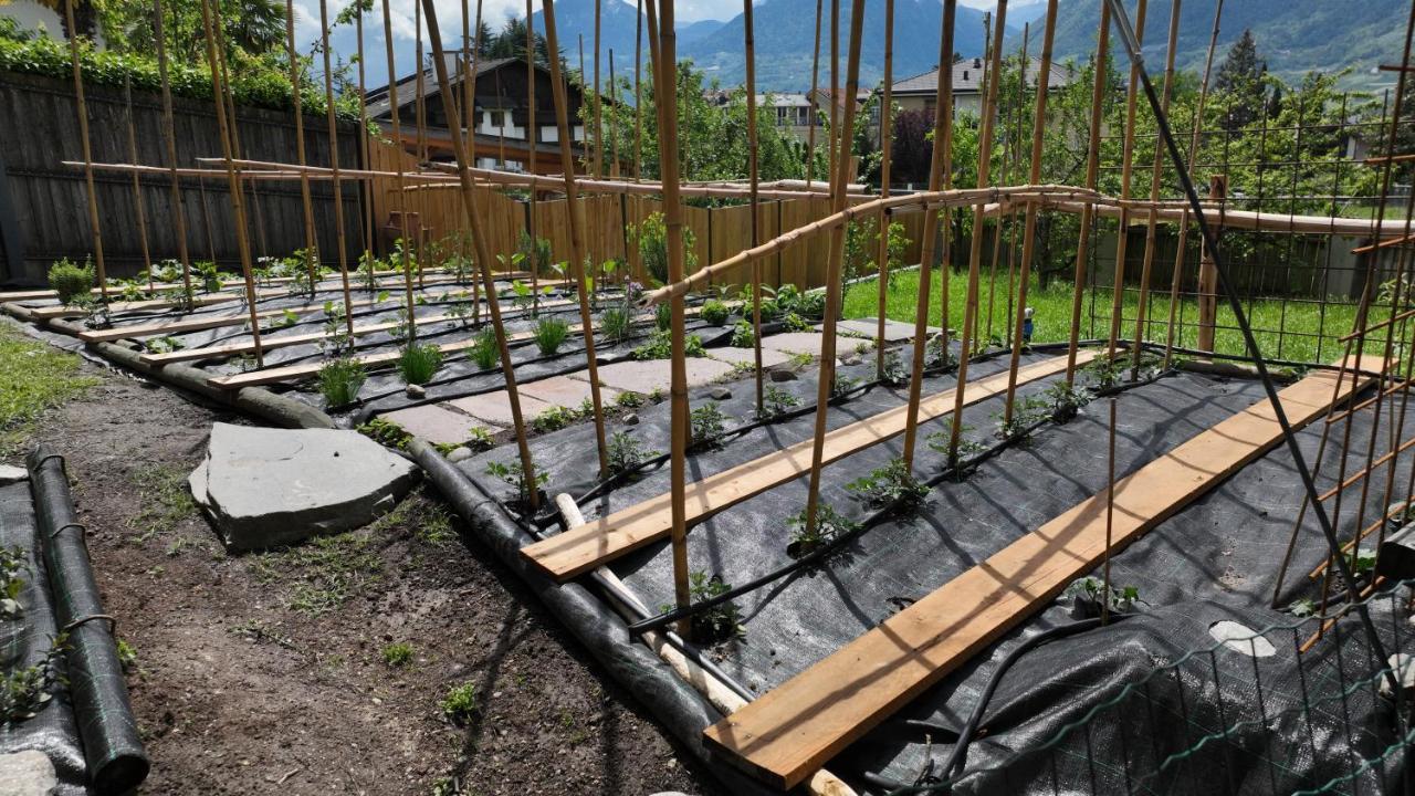 Nora S Home 2 - Panoramic Terrace & Bio Garden Merano Eksteriør billede